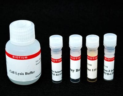 Caspase-3 DEVD-R110 Fluorometric and Colorimetric Assay Kit